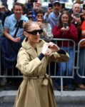 Céline Dion (Instagram)